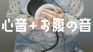 心音+お腹の音