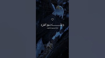 سورة النمل: القارئ اسلام صبحي