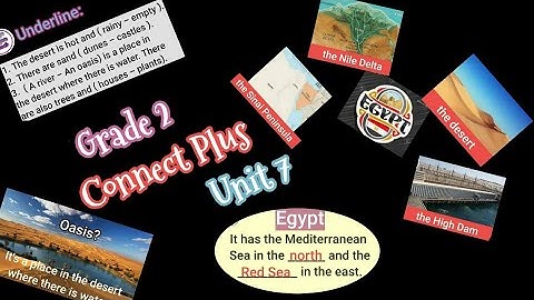 Connect Plus Primary 2 Unit 7 p.6,7,8,9 كونكت بلس سنه تانيه ٦،٧،٨،٩الوحده السابعه ص