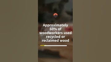 The Environmental Impact of Woodworking