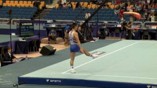 DRAGULESCU Marian ROU FX FINAL QAT2017