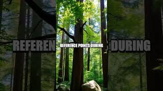 Mastering Wilderness Navigation with Natural Landmarks