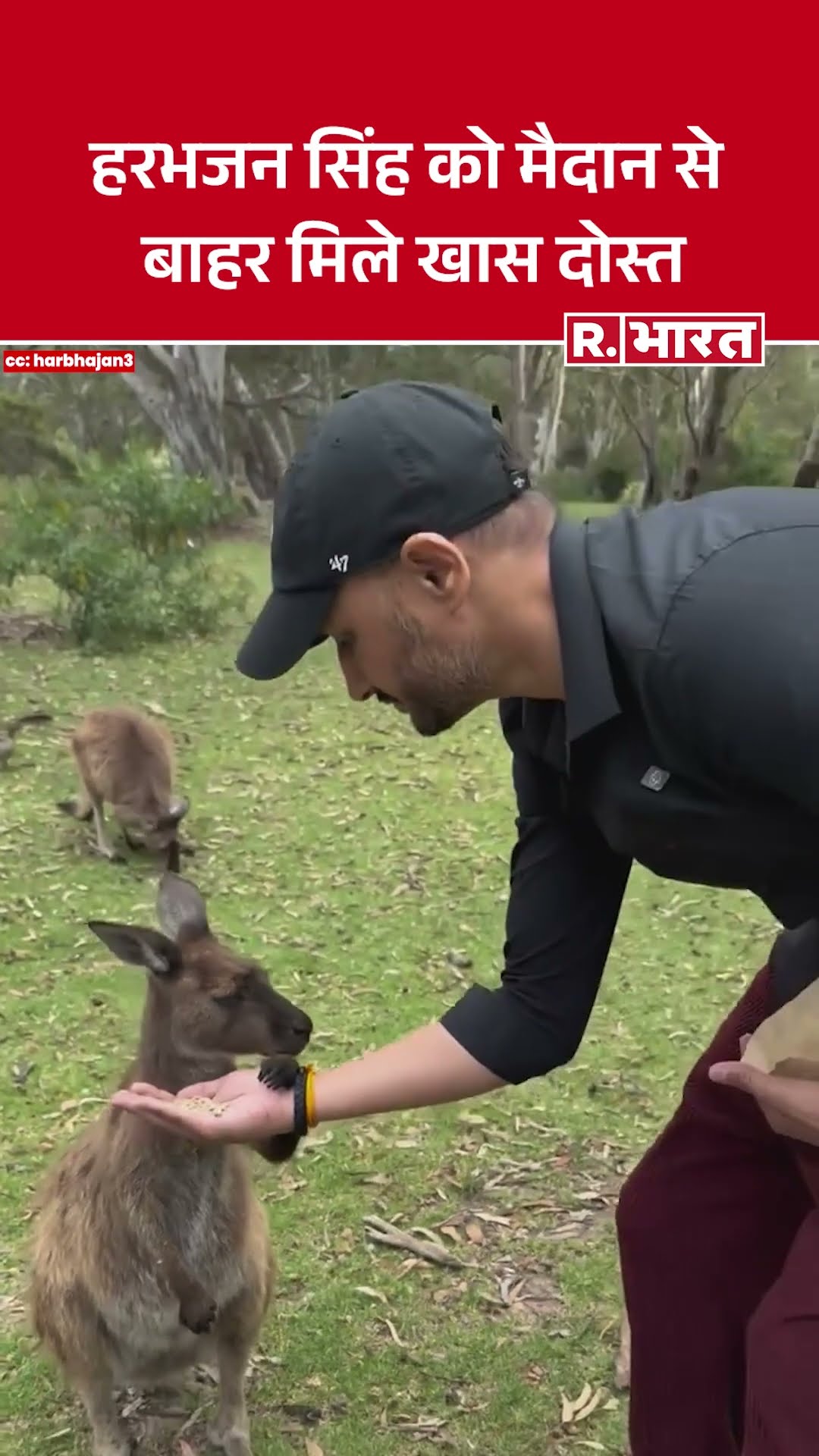 Harbhajan Singh को Cricket Ground से बाहर मिले नए दोस्त, social media पर VIDEO VIRAL