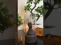 Yoga And Meditation With TikTok Viral ZENDAI邃 Yoga And Meditation With TikTok Viral ZENDAI邃