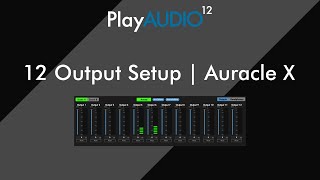 12 Output Setup | iConnectivity PlayAUDIO12 | Auracle X