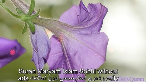 Surah Maryam Islam Sobhi without ads سورة مريم اسلام صبحي بدون اعلانات