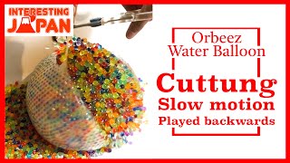 50K Orbeez Water Balloon Experiment ! Squishy Squeeze 5万個のぷよぷよボールで遊んでみた - Interesting Japan -