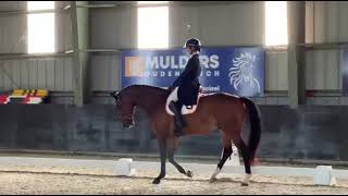New Glasgow Mb Dressuur Proef Cic Oudenbosch Rider Kristy Snepvangers