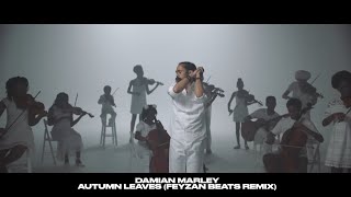 Damian Marley - Autumn Leaves (Feyzan Beats Remix)