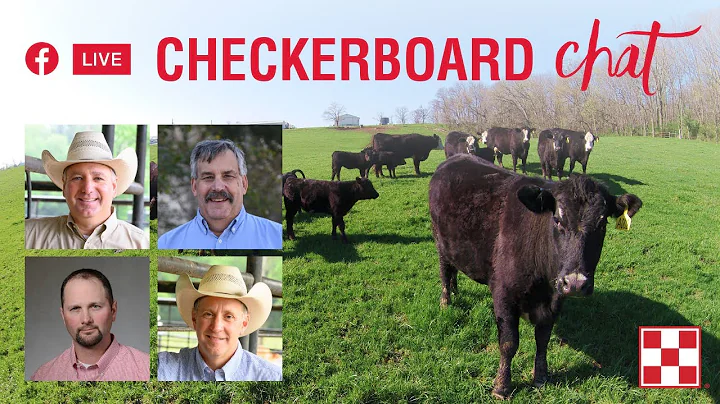 Checkerboard Chat: Your Summer Cattle Nutrition Qu...