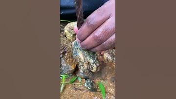 Incredible Geode Reveal: What’s Inside This Rock? 🤯 #gemhunting#geodes #fossils #minerals#goldnugget