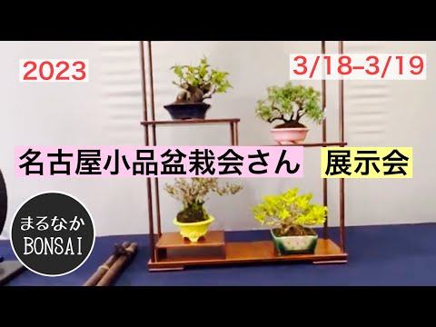 ◆日本小品盆栽銘品展・席飾集／第三回◆図録 古書 ◇日本小品盆栽銘品展・席飾集／第三回◇図録 古書 古書古本