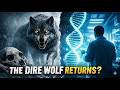 Bringing Back the Dire Wolf: The Science of De-Extinction Explained