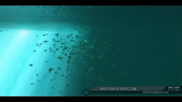 fish particles