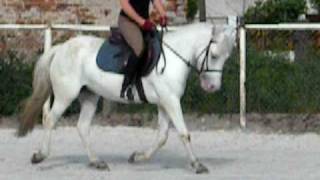 DSCN1165