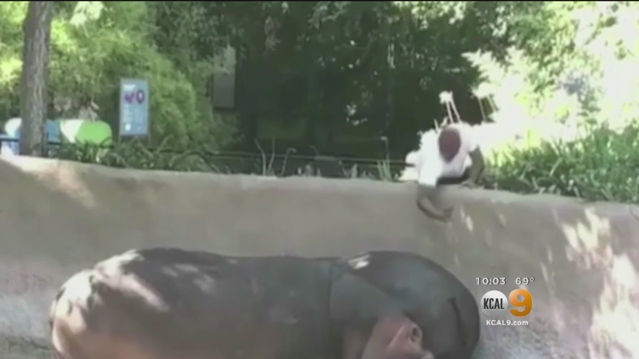 Are There Pandas In La Zoo?