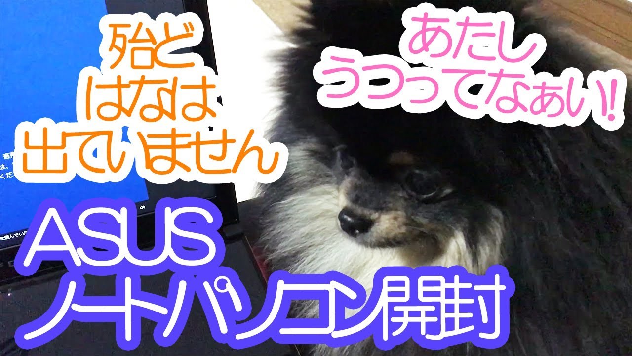 ROG ZEPHYRUS GX501VI(GX501VI-GZ019T)で失敗した事【はなポメ