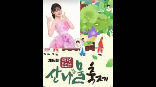 제16회 양평 용문산 산나물축제 김다현 공연