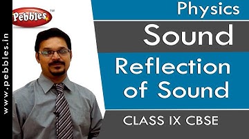 Reflection of Sound : Sound | Physics | Class 9 | CBSE