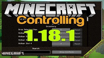 Controlling Mod 1.18.1 & How To Download and Install for Minecraft