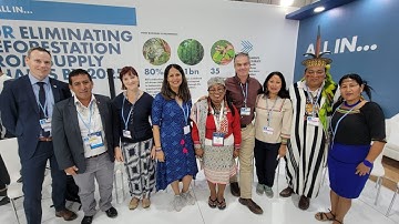 COP27: Indigenous Leadership in Amazonian REDD+ Programs