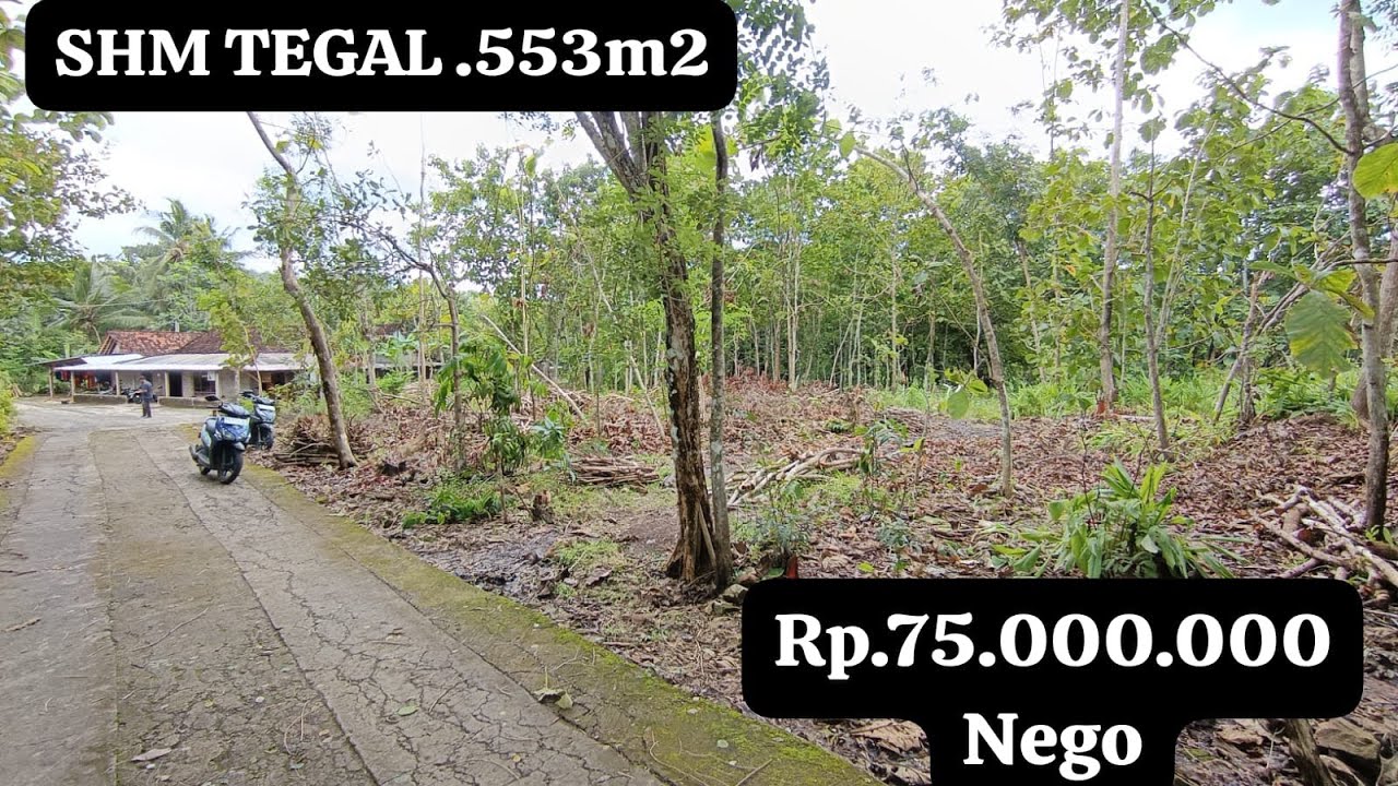 🔴DI JUAL TANAH DEKAT JLN RAYA MURAH..!!