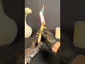 They’re all my favorite 🔥 #lighter #torch #coolgadgets