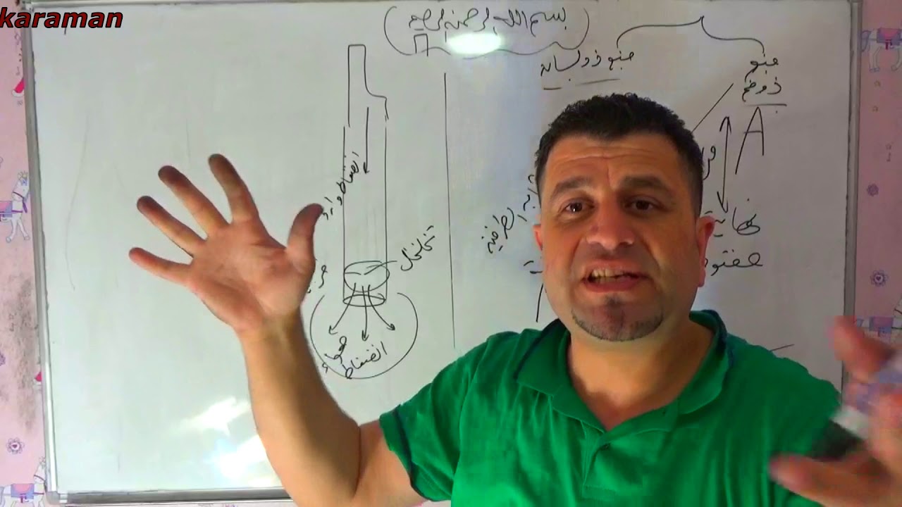 الامواج المستقرة الطولية في المزمار وقانون المزامير
