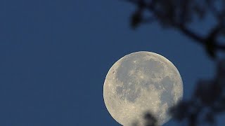 The Psychic Reporter, FRIDAY NIGHT LIVE! 🌕♐️