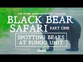 Part 1 - Black Bear Safari - Spotting Bears at Pungo Unit - Wild Black Bears Near Outer Banks NC