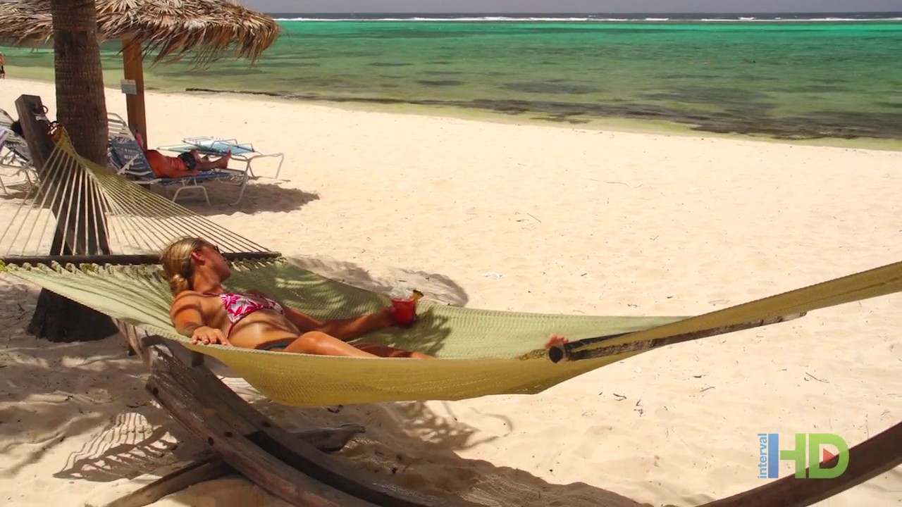 Morritt's The Londoner - Grand Cayman, Cayman Islands video to gif