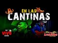 Los Armadillos de la Sierra - En las Cantinas (show en Vivo)