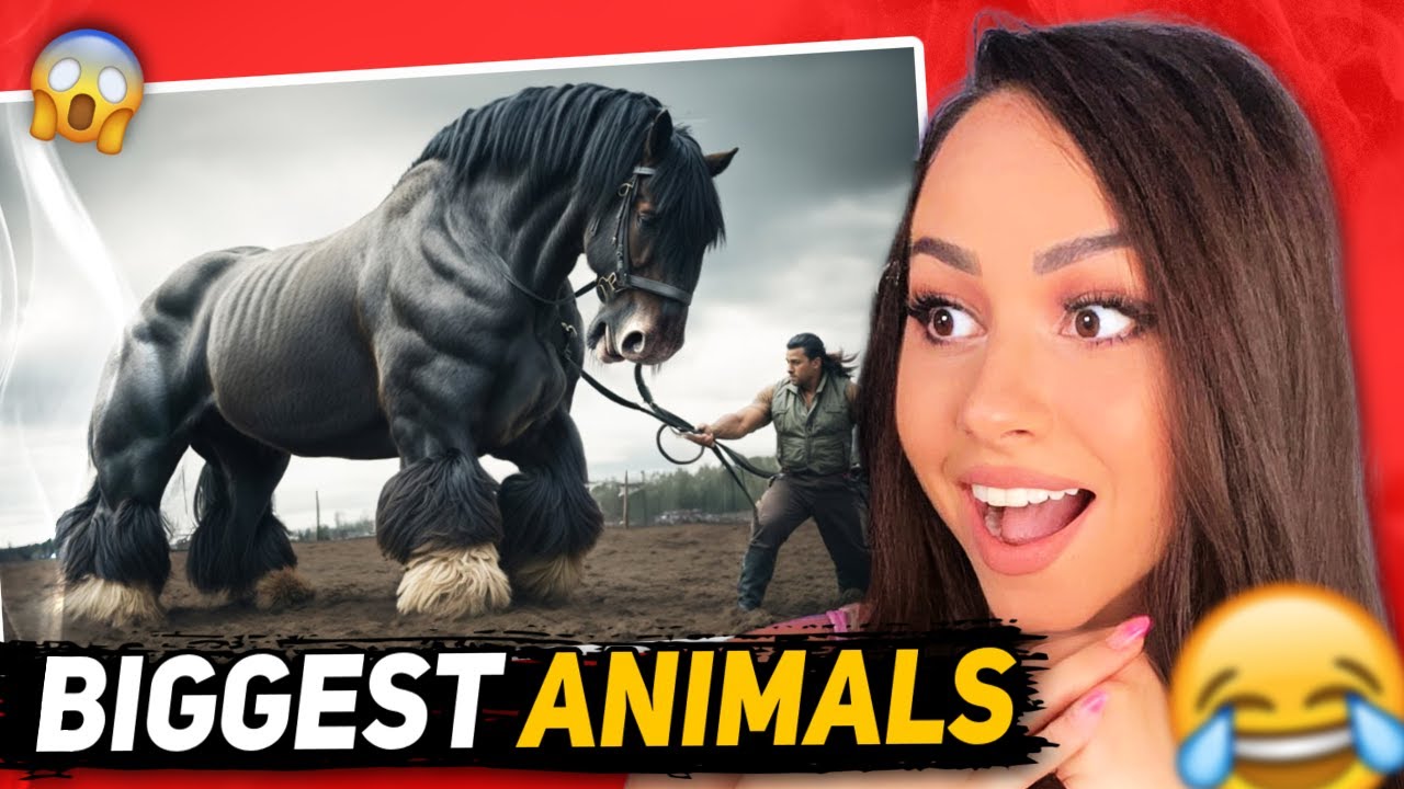 Biggest Animals Ever Caught On Camera | Bunnymon REACTS