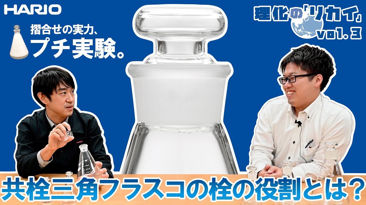 共栓三角フラスコ100ml（TS22） TSF-100-SCI 12個｜総合的理化学機器