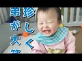 弟が大笑い、そして兄が大仏になった