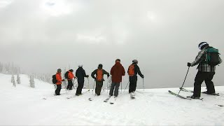 Fernie Cat Skiing 2022 - Fernie Wilderness Adventures