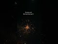 Happy diwali pookies#music #song #love #viral #happy #diwali #festival #fire #share #shorts #status