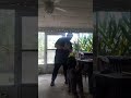 Leash Techniques - Short version