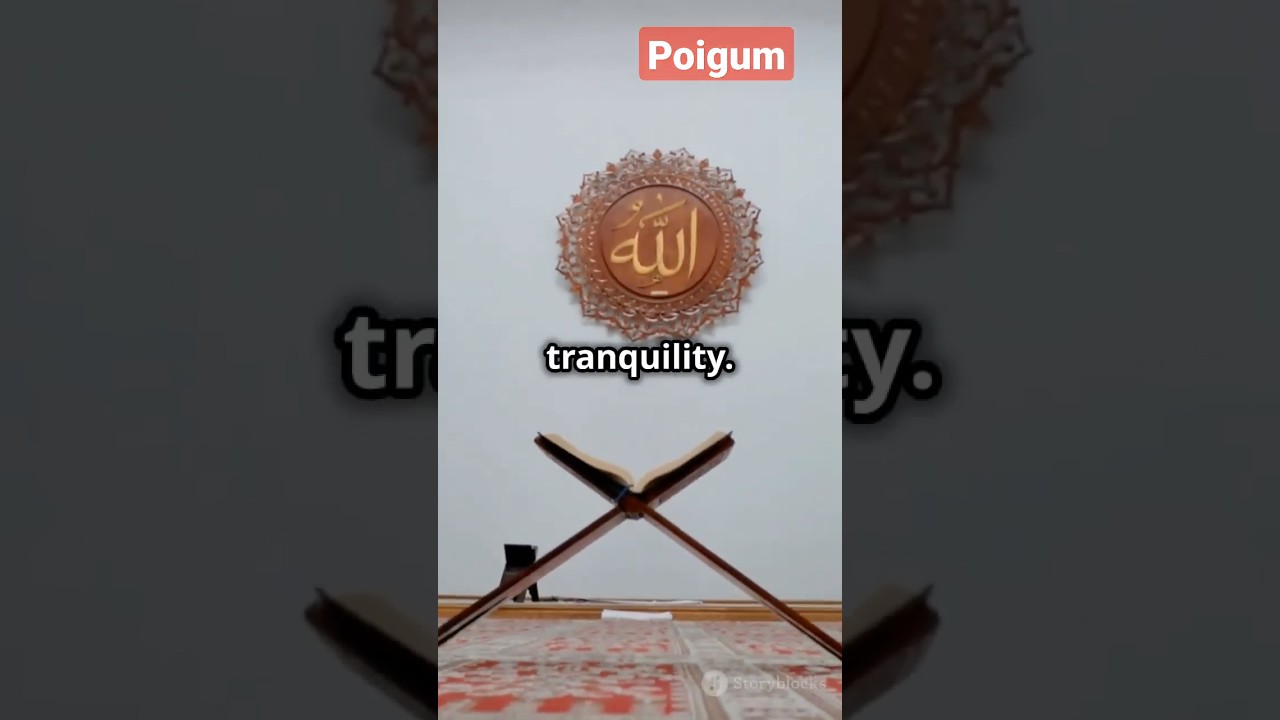 Finding Peace in the Quran: A Journey to Inner Calm l 