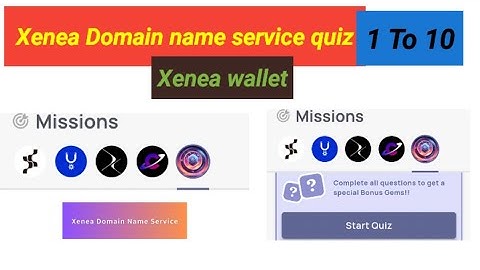 xenea domain name service quiz