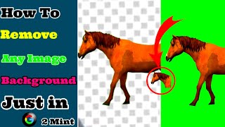 Easy Tutorial: How to Remove Background from an Image Quickly and Professionally