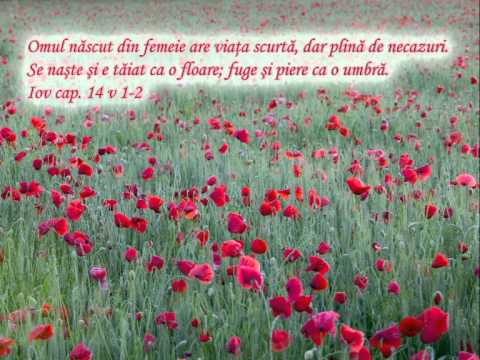 2 ORE DE MUZICA CRESTINA 2014 NOU