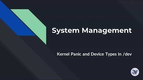 System Management: Kernel Panic and Device Types in /dev