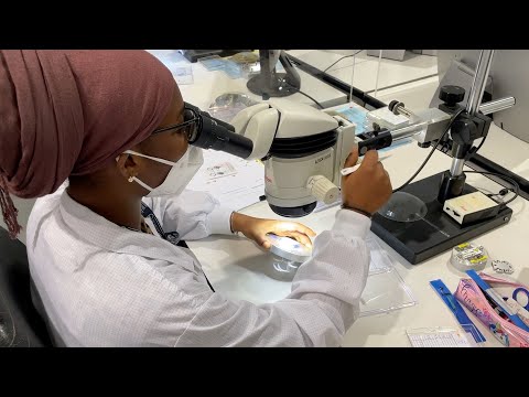 Technoprobe - Innovation Begins with Us - 2021 (ENG) - video from Technoprobe
