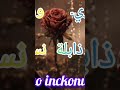     زهري وردة ذابلة نسقيه     