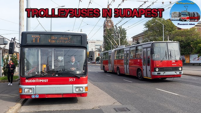 Ikarus Buses in Budapest 🇭🇺  IK 260, 280, 412 & 435🚌[2022] 