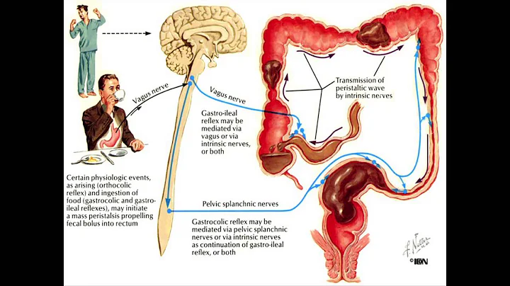 Constipation and the Colon - Mayo Clinic - DayDayNews