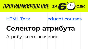 HTML CSS уроки. Селектор атрибута. Атрибут и его значение