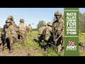 Nato allies combine  exercise spring storm  british army