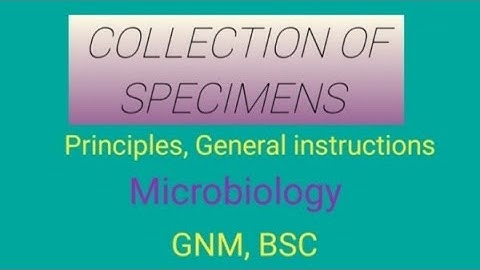 Specimen Collection From The Patients ।। Sample Collection ।।
